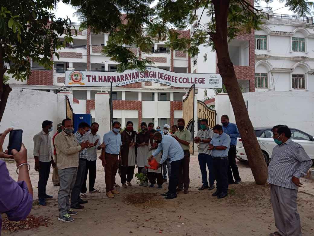 TREE PLANTATION